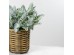 SENECIO CINERARIA ΚΛΑΔΙ ΤΕΧΝΗΤΟ 38cm POLYESTER ΠΡΑΣΙΝΟ SENECIO CINERARIA ΚΛΑΔΙ ΤΕΧΝΗΤΟ 38cm POLYESTER ΠΡΑΣΙΝΟ