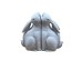 BUN BUN ΔΙΑΚΟΣΜΗΤΙΚΟ ΒΙΒΛΙΟΣΤΑΤΗΣ SET 2ΤΜΧ 22x9x18cm POLYRESIN ΜΠΕΖ