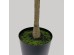 OLIVE TREE ΔΕΝΤΡΟ ΤΕΧΝΗΤΟ ΣΕ ΓΛΑΣΤΡΑ 180cm ΥΦΑΣΜΑ ΠΡΑΣΙΝΟ PVC
