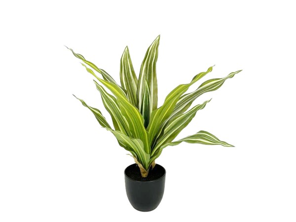 RAIN RIGA ΦΥΤΟ ΤΕΧΝΗΤΟ ΣΕ ΓΛΑΣΤΡΑ 35cm ΥΦΑΣΜΑ ΠΡΑΣΙΝΟ PVC RAIN RIGA ΦΥΤΟ ΤΕΧΝΗΤΟ ΣΕ ΓΛΑΣΤΡΑ 35cm ΥΦΑΣΜΑ ΠΡΑΣΙΝΟ PVC