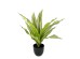 RAIN RIGA ΦΥΤΟ ΤΕΧΝΗΤΟ ΣΕ ΓΛΑΣΤΡΑ 35cm ΥΦΑΣΜΑ ΠΡΑΣΙΝΟ PVC RAIN RIGA ΦΥΤΟ ΤΕΧΝΗΤΟ ΣΕ ΓΛΑΣΤΡΑ 35cm ΥΦΑΣΜΑ ΠΡΑΣΙΝΟ PVC