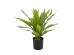 RAIN RIGA ΦΥΤΟ ΤΕΧΝΗΤΟ ΣΕ ΓΛΑΣΤΡΑ 45cm ΥΦΑΣΜΑ ΠΡΑΣΙΝΟ PVC RAIN RIGA ΦΥΤΟ ΤΕΧΝΗΤΟ ΣΕ ΓΛΑΣΤΡΑ 45cm ΥΦΑΣΜΑ ΠΡΑΣΙΝΟ PVC