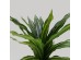RAIN RIGA ΦΥΤΟ ΤΕΧΝΗΤΟ ΣΕ ΓΛΑΣΤΡΑ 45cm ΥΦΑΣΜΑ ΠΡΑΣΙΝΟ PVC RAIN RIGA ΦΥΤΟ ΤΕΧΝΗΤΟ ΣΕ ΓΛΑΣΤΡΑ 45cm ΥΦΑΣΜΑ ΠΡΑΣΙΝΟ PVC