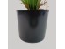 RAIN RIGA ΦΥΤΟ ΤΕΧΝΗΤΟ ΣΕ ΓΛΑΣΤΡΑ 45cm ΥΦΑΣΜΑ ΠΡΑΣΙΝΟ PVC RAIN RIGA ΦΥΤΟ ΤΕΧΝΗΤΟ ΣΕ ΓΛΑΣΤΡΑ 45cm ΥΦΑΣΜΑ ΠΡΑΣΙΝΟ PVC