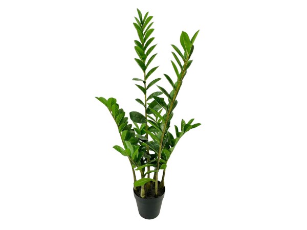 ZAMIA ΦΥΤΟ ΤΕΧΝΗΤΟ ΣΕ ΓΛΑΣΤΡΑ 95cm ΥΦΑΣΜΑ ΠΡΑΣΙΝΟ PVC