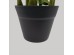 ZAMIA ΦΥΤΟ ΤΕΧΝΗΤΟ ΣΕ ΓΛΑΣΤΡΑ 95cm ΥΦΑΣΜΑ ΠΡΑΣΙΝΟ PVC