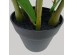 ZAMIA ΦΥΤΟ ΤΕΧΝΗΤΟ ΣΕ ΓΛΑΣΤΡΑ 95cm ΥΦΑΣΜΑ ΠΡΑΣΙΝΟ PVC