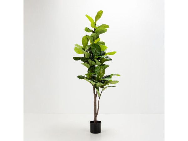 FICUS PANDURATA ΔΕΝΤΡΟ ΤΕΧΝΗΤΟ ΣΕ ΓΛΑΣΤΡΑ 180cm ΥΦΑΣΜΑ ΠΡΑΣΙΝΟ PVC