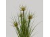 SUNNY FLOWER ΦΥΤΟ ΤΕΧΝΗΤΟ ΣΕ ΓΛΑΣΤΡΑ 70cm PVC ΠΡΑΣΙΝΟ