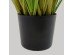 SUNNY FLOWER ΦΥΤΟ ΤΕΧΝΗΤΟ ΣΕ ΓΛΑΣΤΡΑ 70cm PVC ΠΡΑΣΙΝΟ