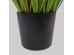 SUNNY FLOWER ΦΥΤΟ ΤΕΧΝΗΤΟ ΣΕ ΓΛΑΣΤΡΑ 90cm PVC ΠΡΑΣΙΝΟ