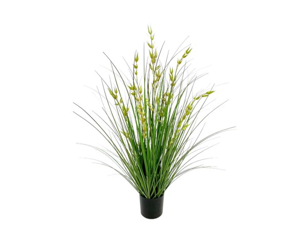 OAT GRASS ΦΥΤΟ ΤΕΧΝΗΤΟ ΣΕ ΓΛΑΣΤΡΑ 90cm PVC ΠΡΑΣΙΝΟ OAT GRASS ΦΥΤΟ ΤΕΧΝΗΤΟ ΣΕ ΓΛΑΣΤΡΑ 90cm PVC ΠΡΑΣΙΝΟ