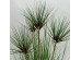 HEAD BAMBOO ΦΥΤΟ ΤΕΧΝΗΤΟ ΣΕ ΓΛΑΣΤΡΑ 95cm PVC ΠΡΑΣΙΝΟ