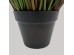 HEAD BAMBOO ΦΥΤΟ ΤΕΧΝΗΤΟ ΣΕ ΓΛΑΣΤΡΑ 95cm PVC ΠΡΑΣΙΝΟ