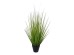 PURE GRASS ΦΥΤΟ ΤΕΧΝΗΤΟ ΣΕ ΓΛΑΣΤΡΑ 68cm PVC ΠΡΑΣΙΝΟ