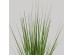 PURE GRASS ΦΥΤΟ ΤΕΧΝΗΤΟ ΣΕ ΓΛΑΣΤΡΑ 68cm PVC ΠΡΑΣΙΝΟ
