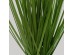 PURE GRASS ΦΥΤΟ ΤΕΧΝΗΤΟ ΣΕ ΓΛΑΣΤΡΑ 68cm PVC ΠΡΑΣΙΝΟ