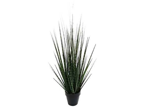 DARK PURE GRASS ΦΥΤΟ ΤΕΧΝΗΤΟ ΣΕ ΓΛΑΣΤΡΑ 68cm PVC ΠΡΑΣΙΝΟ ΣΚΟΥΡΟ DARK PURE GRASS ΦΥΤΟ ΤΕΧΝΗΤΟ ΣΕ ΓΛΑΣΤΡΑ 68cm PVC ΠΡΑΣΙΝΟ ΣΚΟΥΡΟ