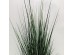 DARK PURE GRASS ΦΥΤΟ ΤΕΧΝΗΤΟ ΣΕ ΓΛΑΣΤΡΑ 90cm PVC ΠΡΑΣΙΝΟ ΣΚΟΥΡΟ