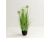 GRASS FLOWER ΦΥΤΟ ΤΕΧΝΗΤΟ ΣΕ ΓΛΑΣΤΡΑ 58cm PVC ΠΡΑΣΙΝΟ