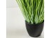 GRASS FLOWER ΦΥΤΟ ΤΕΧΝΗΤΟ ΣΕ ΓΛΑΣΤΡΑ 58cm PVC ΠΡΑΣΙΝΟ
