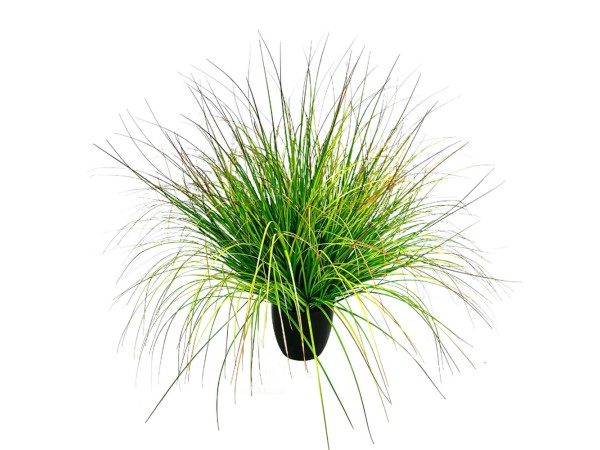 BENT GRASS ΦΥΤΟ ΤΕΧΝΗΤΟ ΣΕ ΓΛΑΣΤΡΑ 90cm PVC ΠΡΑΣΙΝΟ BENT GRASS ΦΥΤΟ ΤΕΧΝΗΤΟ ΣΕ ΓΛΑΣΤΡΑ 90cm PVC ΠΡΑΣΙΝΟ