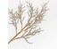 AROMA BLOSSOMS ΚΛΑΔΙ ΤΕΧΝΗΤΟ 72cm FOAM ΚΑΦΕ PVC AROMA BLOSSOMS ΚΛΑΔΙ ΤΕΧΝΗΤΟ 72cm FOAM ΚΑΦΕ PVC