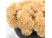 AROMA PETALS ΛΟΥΛΟΥΔΙ ΤΕΧΝΗΤΟ 22cm FOAM ΡΟΔΑΚΙΝΙ PVC AROMA PETALS ΛΟΥΛΟΥΔΙ ΤΕΧΝΗΤΟ 22cm FOAM ΡΟΔΑΚΙΝΙ PVC