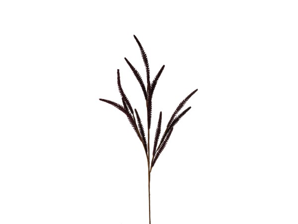 AROMA GLOW ΛΟΥΛΟΥΔΙ ΤΕΧΝΗΤΟ 80cm FOAM ΜΠΟΡΝΤΩ PVC