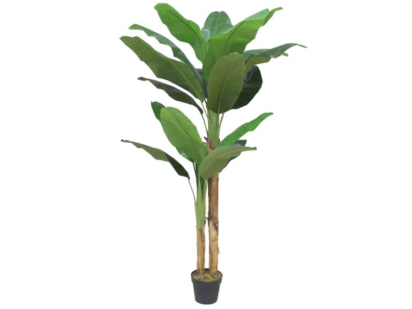 BANANA ΔΕΝΤΡΟ ΤΕΧΝΗΤΟ ΣΕ ΓΛΑΣΤΡΑ 180cm PEVA ΠΡΑΣΙΝΟ