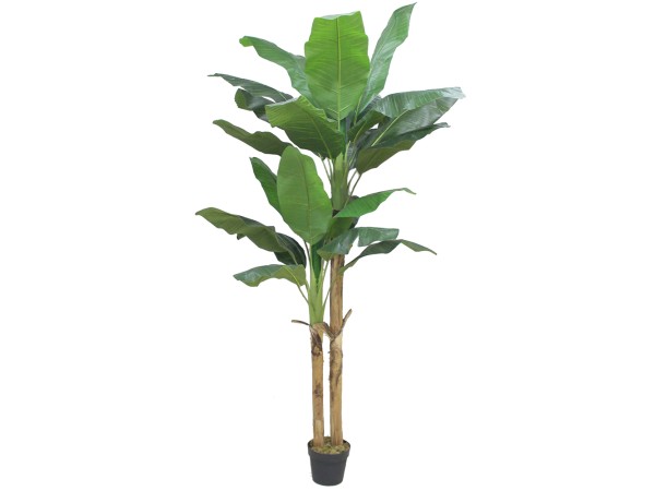 BANANA ΔΕΝΤΡΟ ΤΕΧΝΗΤΟ ΣΕ ΓΛΑΣΤΡΑ 220cm PEVA ΠΡΑΣΙΝΟ