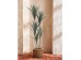 YUCCA ΔΕΝΤΡΟ ΤΕΧΝΗΤΟ ΣΕ ΓΛΑΣΤΡΑ 150cm PE ΠΡΑΣΙΝΟ