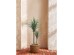 YUCCA ΔΕΝΤΡΟ ΤΕΧΝΗΤΟ ΣΕ ΓΛΑΣΤΡΑ 120cm PE ΠΡΑΣΙΝΟ