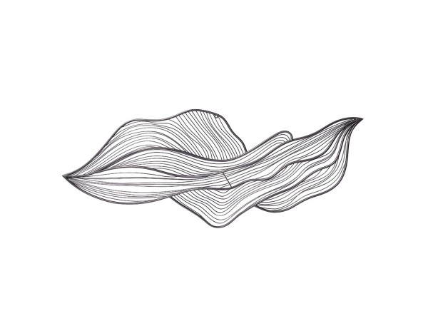 SWIRL A ΔΙΑΚΟΣΜΗΤΙΚΟ ΤΟΙΧΟΥ 113x4x59cm ΜΕΤΑΛΛΟ ΓΚΡΙ ΜΑΤ SWIRL A ΔΙΑΚΟΣΜΗΤΙΚΟ ΤΟΙΧΟΥ 113x4x59cm ΜΕΤΑΛΛΟ ΓΚΡΙ ΜΑΤ