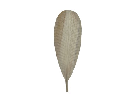 SONTO ΔΙΑΚΟΣΜΗΤΙΚΟ 100x35x2cm ΞΥΛΟ ΦΥΣΙΚΟ