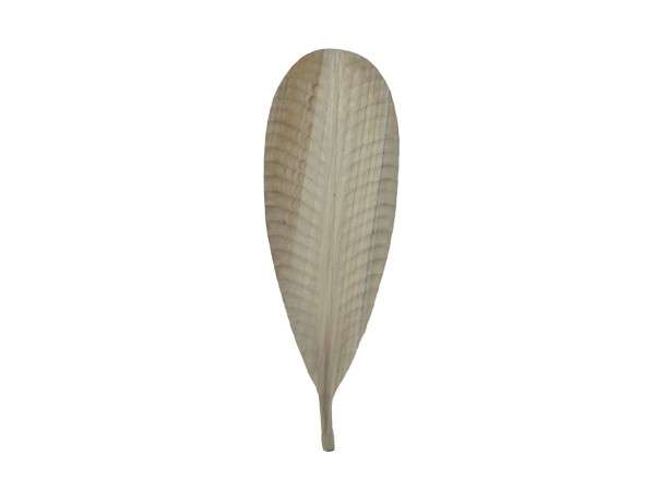 SONTO ΔΙΑΚΟΣΜΗΤΙΚΟ 100x35x2cm ΞΥΛΟ ΦΥΣΙΚΟ SONTO ΔΙΑΚΟΣΜΗΤΙΚΟ 100x35x2cm ΞΥΛΟ ΦΥΣΙΚΟ