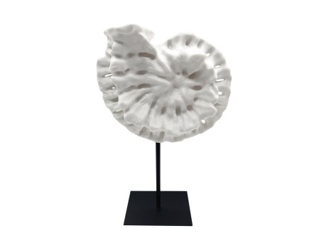 SHELL ΔΙΑΚΟΣΜΗΤΙΚΟ ΚΟΧΥΛΙ 25x12x41cm POLYRESIN ΑΣΠΡΟ ΜΑΥΡΟ ΜΕΤΑΛΛΟ