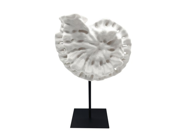 SHELL ΔΙΑΚΟΣΜΗΤΙΚΟ ΚΟΧΥΛΙ 25x12x41cm POLYRESIN ΑΣΠΡΟ ΜΑΥΡΟ ΜΕΤΑΛΛΟ