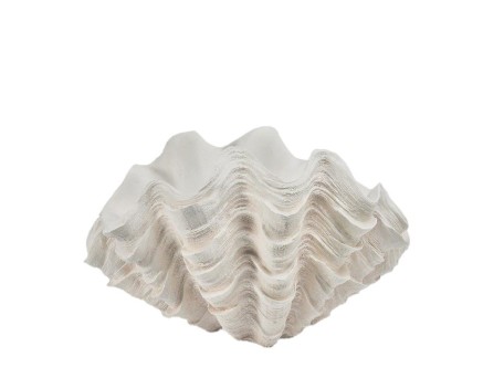 CORALIA ΓΛΑΣΤΡΑ ΚΟΡΑΛΙ 48.5x32x28.5cm RESIN OFF WHITE