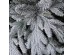 CHRISTMAS DREAMS ΧΡΙΣΤΟΥΓΕΝΝΙΑΤΙΚΟ ΔΕΝΤΡΟ ΧΙΟΝΙΣΜΕΝΟ 150x150x210cm PE/PVC ΠΡΑΣΙΝΟ ΛΕΥΚΟ CHRISTMAS DREAMS ΧΡΙΣΤΟΥΓΕΝΝΙΑΤΙΚΟ ΔΕΝΤΡΟ ΧΙΟΝΙΣΜΕΝΟ 150x150x210cm PE/PVC ΠΡΑΣΙΝΟ ΛΕΥΚΟ