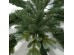 NATALE PINE ΧΡΙΣΤΟΥΓΕΝΝΙΑΤΙΚΟ ΔΕΝΤΡΟ 130x130x210cm PE/PVC ΓΚΡΙ ΠΡΑΣΙΝΟ NATALE PINE ΧΡΙΣΤΟΥΓΕΝΝΙΑΤΙΚΟ ΔΕΝΤΡΟ 130x130x210cm PE/PVC ΓΚΡΙ ΠΡΑΣΙΝΟ