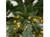 NATALE GLOW ΧΡΙΣΤΟΥΓΕΝΝΙΑΤΙΚΟ ΔΕΝΤΡΟ LED ΦΩΤΑ 155x155x210cm PE/PVC ΠΡΑΣΙΝΟ LED/COPPER