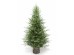EMERALD SPRUCE ΧΡΙΣΤΟΥΓΕΝΝΙΑΤΙΚΟ ΔΕΝΤΡΟ 115x115x180cm PE/PVC ΠΡΑΣΙΝΟ EMERALD SPRUCE ΧΡΙΣΤΟΥΓΕΝΝΙΑΤΙΚΟ ΔΕΝΤΡΟ 115x115x180cm PE/PVC ΠΡΑΣΙΝΟ