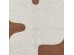 KAKTUS ΠΙΝΑΚΑΣ ΔΙΑΚΟΣΜΗΤΙΚΟΣ ΜΕ ΚΟΡΝΙΖΑ 80x120x4cm ΚΑΜΒΑΣ ΜΠΕΖ ΚΑΦΕ ΑΝΟΙΧΤΟ PS