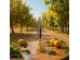 ZOE - CITRUS GROVE ΑΡΩΜΑΤΙΚΟ ΧΩΡΟΥ 100ml 6.4x6.4x23.3cm ΓΥΑΛΙ ΑΡΩΜΑΤΙΚΟ ΥΓΡΟ