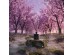 ZOE - SAKURA RAIN ΑΡΩΜΑΤΙΚΟ ΧΩΡΟΥ 100ml 6.4x6.4x23.3cm ΓΥΑΛΙ ΑΡΩΜΑΤΙΚΟ ΥΓΡΟ