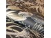 Ταπετσαρία HOHENBERGER TROPICAL 26731-HTM – Ταπετσαρίες τοίχου