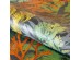 Ταπετσαρία HOHENBERGER TROPICAL 26733-HTM – Ταπετσαρίες τοίχου