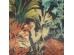 Ταπετσαρία HOHENBERGER TROPICAL 26737-HTM – Ταπετσαρίες τοίχου