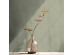 Ταπετσαρία HOHENBERGER CHALK 65521-HTM